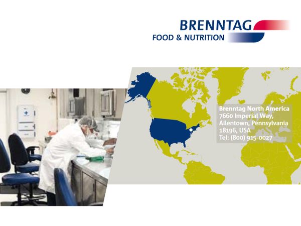 Globale Marke für Lebensmittelinhaltsstoffe
