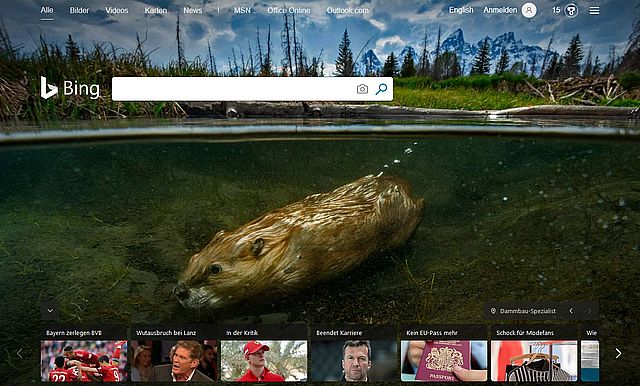 Mein Monat mit Bing