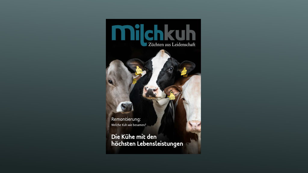 Neue Fachzeitschrift: »Milchkuh« / eingestellt: »Milchrind«